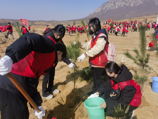 4.志愿者在植树现场认真栽种小树苗